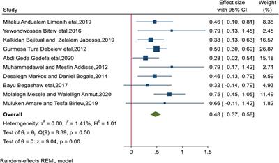 Predictors of Birth Preparedness and Complication Readiness Practices Among Pregnant Women in Ethiopia, a Systematic Review and Meta-Analysis